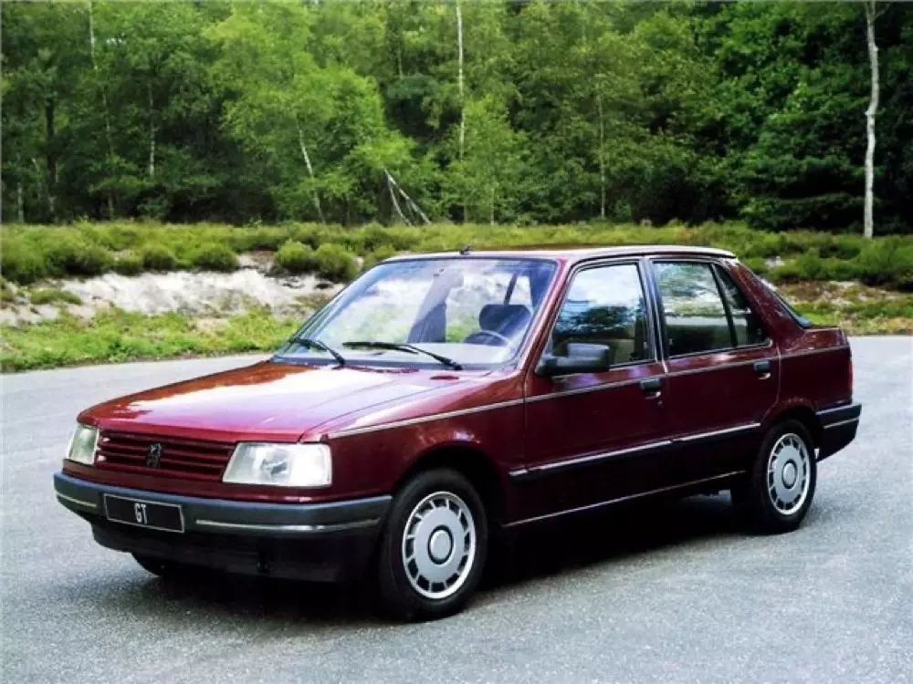 Peugeot 309 repair manual